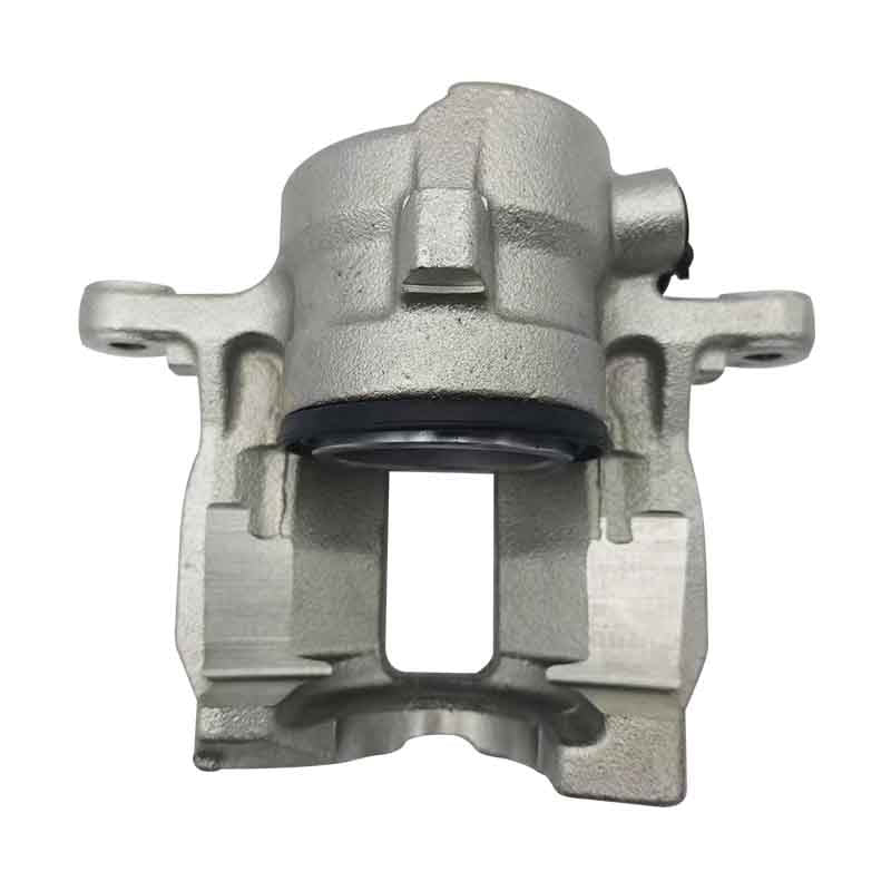 ZHUOYUE Caliper ZY1294-L