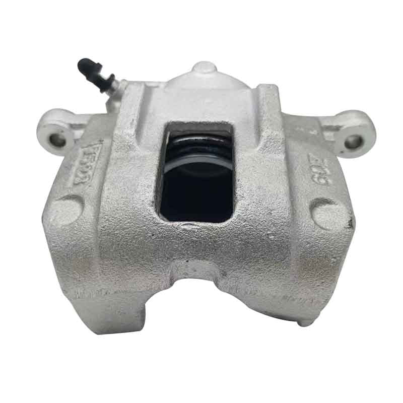 ZHUOYUE Caliper ZY1294-L
