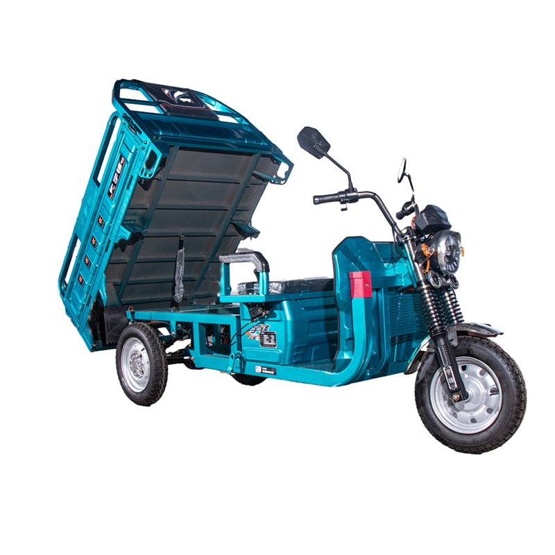 yufeng YF1500DZH-2G Household truck load king tricycle