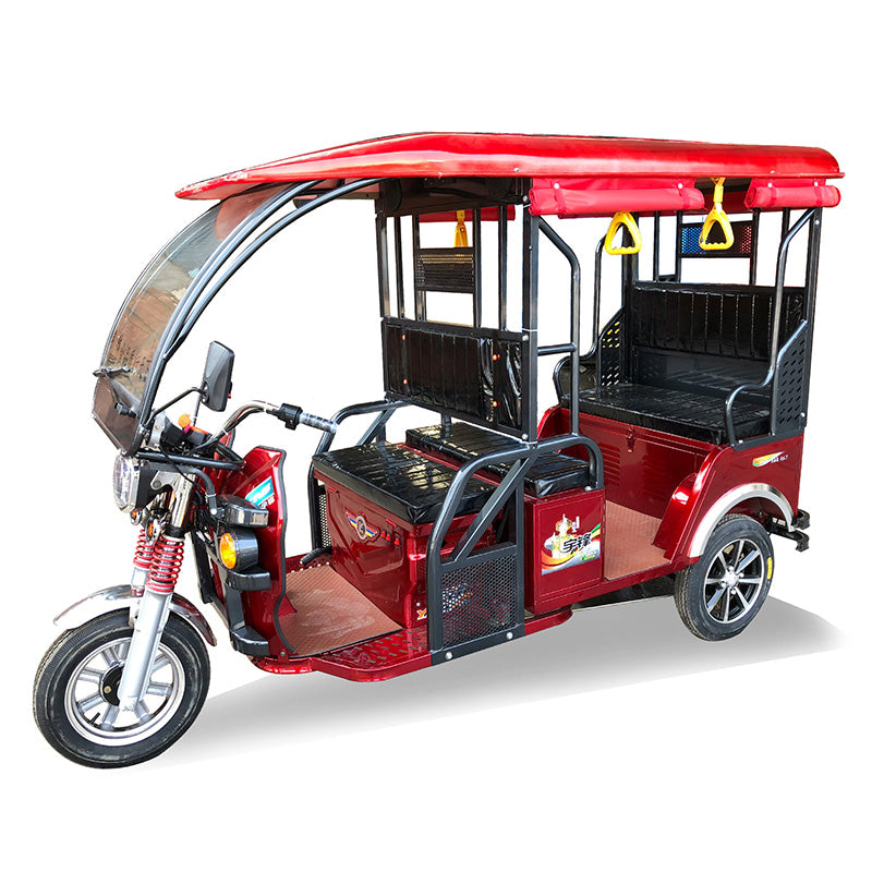 yufeng YF-F6(5 units will be shipped) Small bus tricycle family mobility car for the elderly