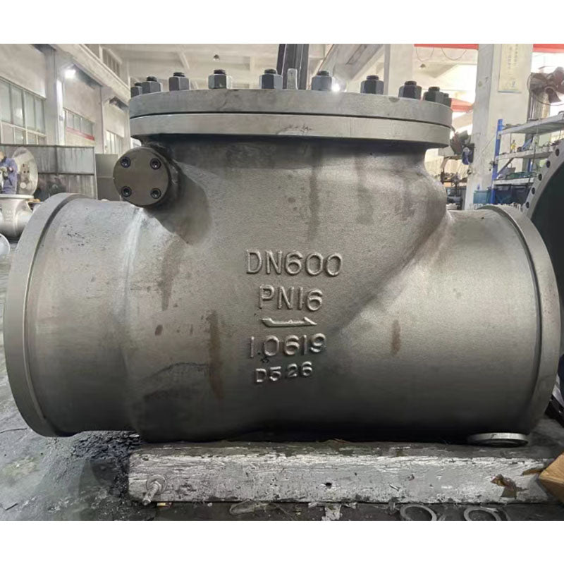 TeDa Stainless steel swing check valve CHECK VALVE DN15~DN1600(Price please ask customer service) Check valves for gases High Temperature Resistant Backflow Proof