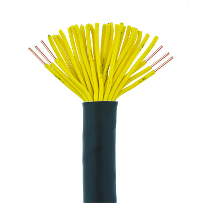 ZHENXING  control cable  National standard pure copper multi-core control cable Control cable line