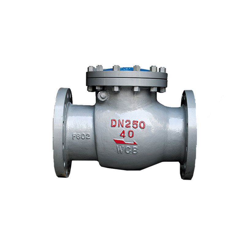 TeDa  Stainless steel swing check valve CHECK VALVE DN15～DN1600(Price please ask customer service) Check valves for gases High Temperature Resistant Backflow Proof
