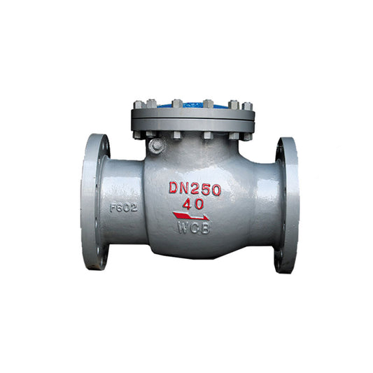 TeDa  Stainless steel swing check valve CHECK VALVE DN15～DN1600(Price please ask customer service) Check valves for gases High Temperature Resistant Backflow Proof