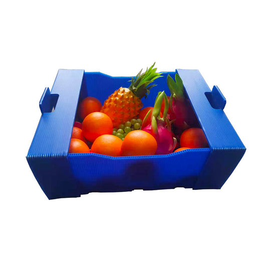 JIAGU  Food & Agriculture Fresh Fruit