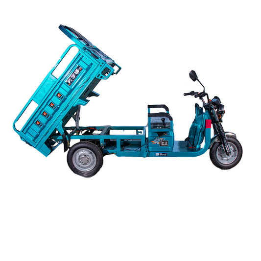 yufeng YF1500DZH-2G  Household truck load king tricycle