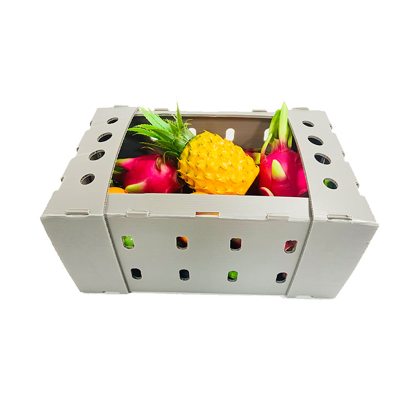 JIAGU  Food & Agriculture Fresh Fruit