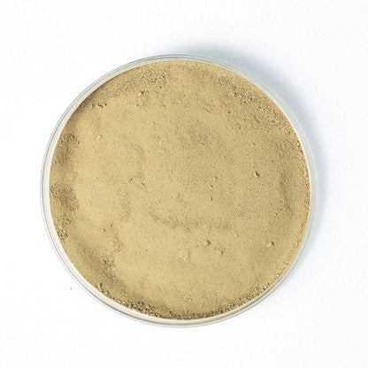 ShiChang Mixed feed additives - Lactobacillus plantarum 250g/bottle Starting lot 20 bottles/case Probiotics Intestinal Regulation