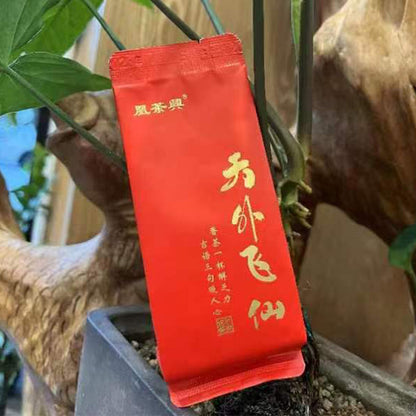 HANMI  Phoenix Tea Xing Tian Wai Fei Xian Cinnamon