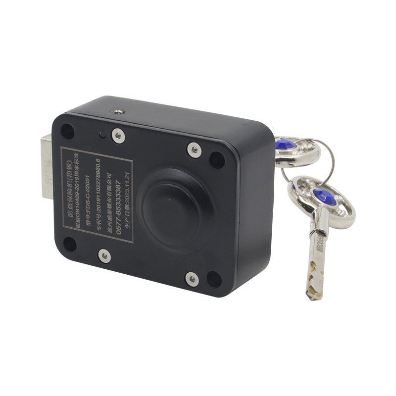 WEITAI  2051 Safe Lock  Non punching automatic door closer, household door closer, small electric control cabinet door lock