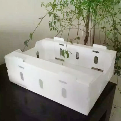 JIAGU  Food & Agriculture Fresh Fruit