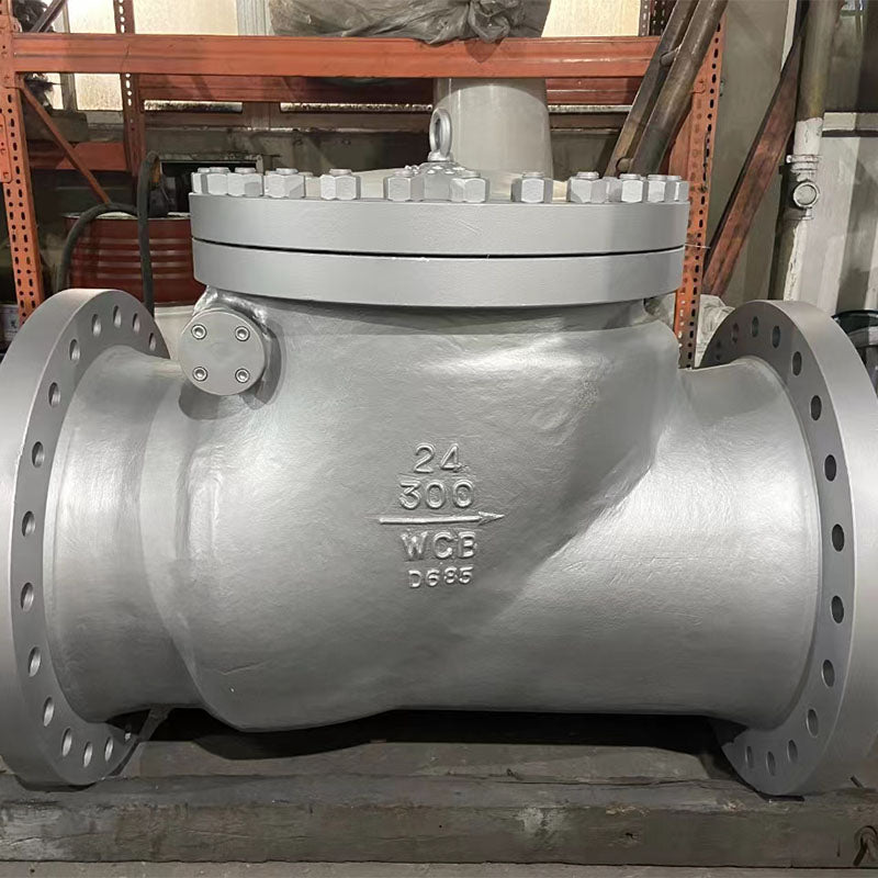 TeDa  Stainless steel swing check valve CHECK VALVE DN15～DN1600(Price please ask customer service) Check valves for gases High Temperature Resistant Backflow Proof